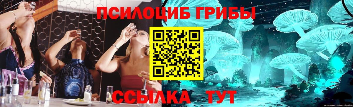 Псилоцибиновые грибы ЛСД Петропавловск-Камчатский