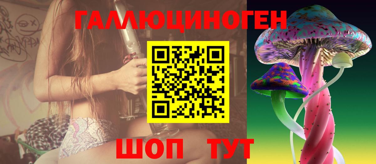 Псилоцибиновые грибы Psilocybine cubensis  Вход с VPN  Петропавловск-Камчатский 